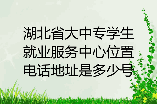 湖北省大中专学生就业服务中心位置电话地址是多少号
