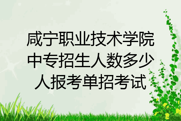 咸宁职业技术学院中专招生人数多少人报考单招考试
