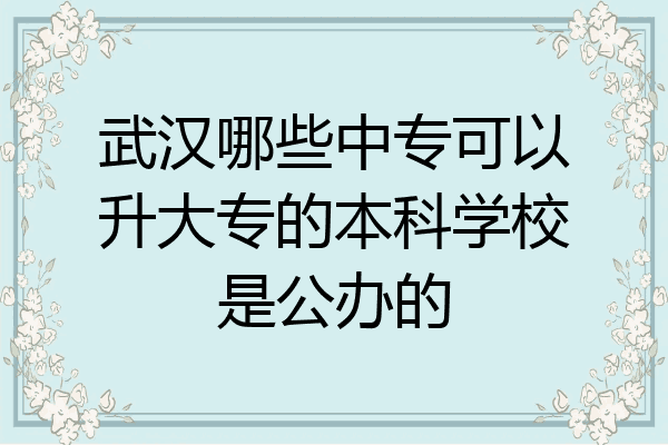 武汉哪些中专可以升大专的本科学校是公办的