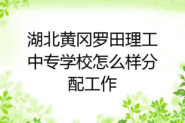湖北黄冈罗田理工中专学校怎么样分配工作