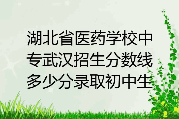 湖北省医药学校中专武汉招生分数线多少分录取初中生