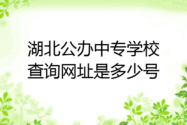 湖北公办中专学校查询网址是多少号