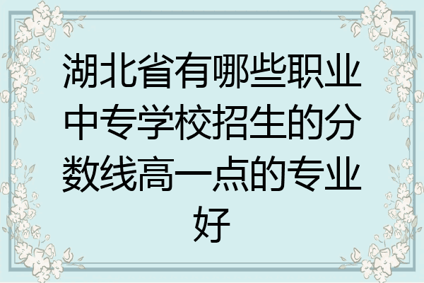 湖北省有哪些职业中专学校招生的分数线高一点的专业好