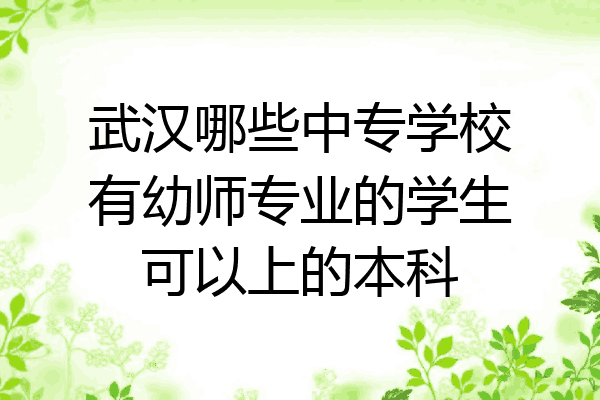 武汉哪些中专学校有幼师专业的学生可以上的本科