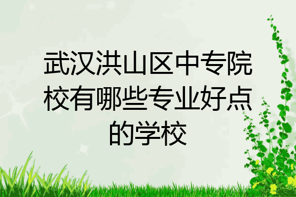武汉洪山区中专院校有哪些专业好点的学校