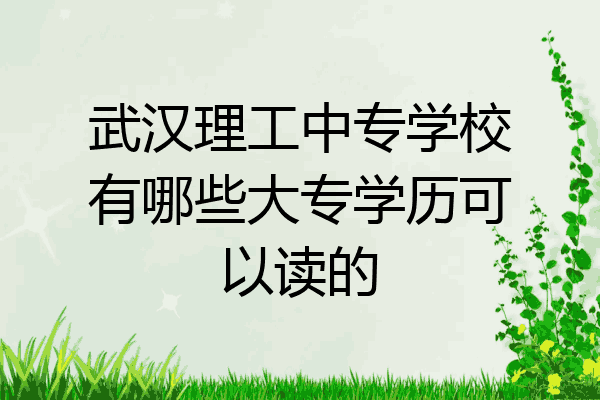 武汉理工中专学校有哪些大专学历可以读的
