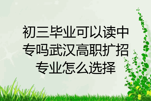初三毕业可以读中专吗武汉高职扩招专业怎么选择