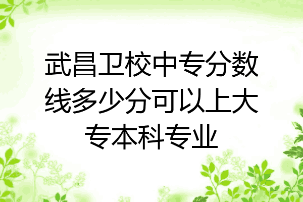 武昌卫校中专分数线多少分可以上大专本科专业