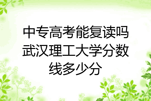 中专高考能复读吗武汉理工大学分数线多少分
