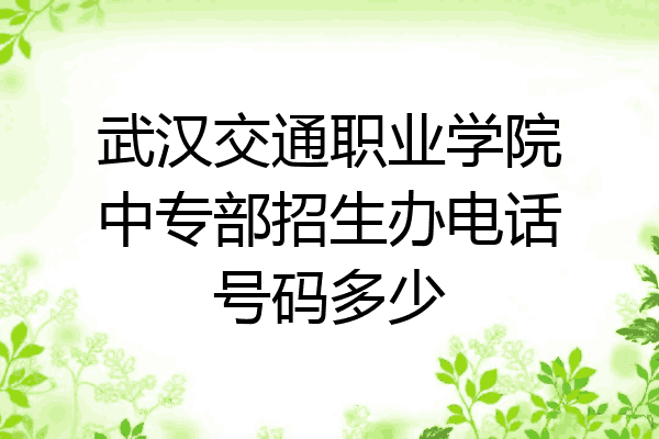 武汉交通职业学院中专部招生办电话号码多少
