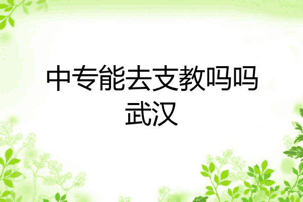 中专能去支教吗吗武汉