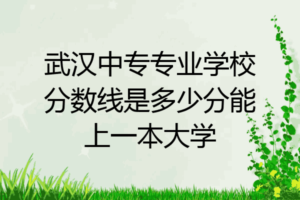 武汉中专专业学校分数线是多少分能上一本大学