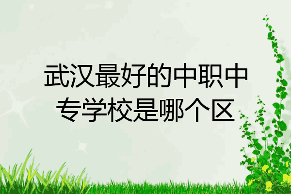 武汉最好的中职中专学校是哪个区