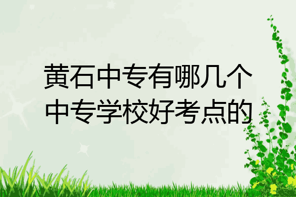 黄石中专有哪几个中专学校好考点的