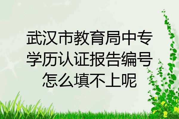 武汉市教育局中专学历认证报告编号怎么填不上呢
