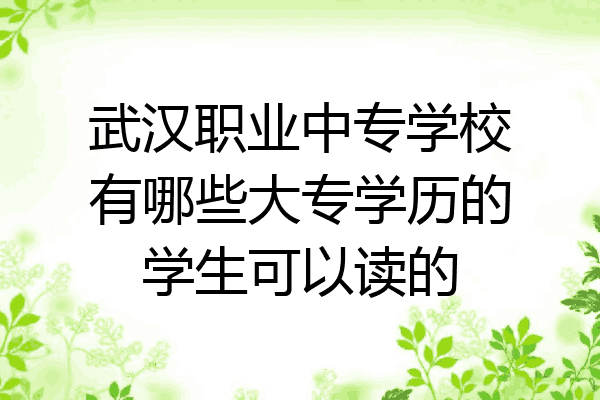 武汉职业中专学校有哪些大专学历的学生可以读的