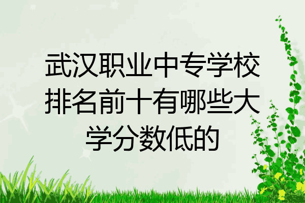 武汉职业中专学校排名前十有哪些大学分数低的