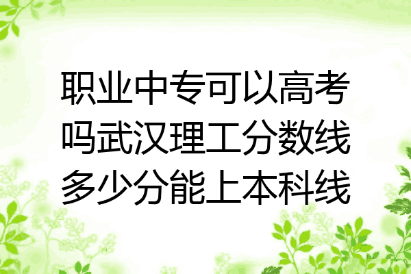 职业中专可以高考吗武汉理工分数线多少分能上本科线
