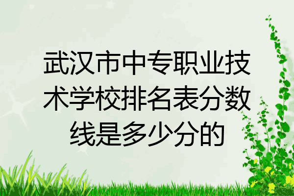 武汉市中专职业技术学校排名表分数线是多少分的