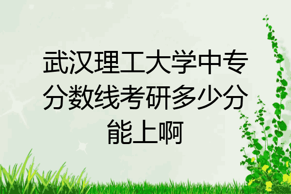 武汉理工大学中专分数线考研多少分能上啊