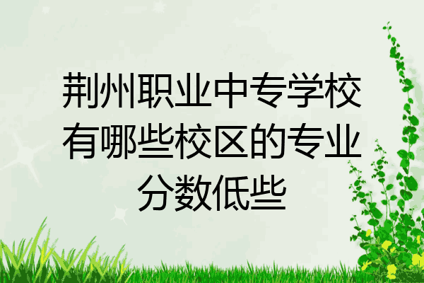 荆州职业中专学校有哪些校区的专业分数低些