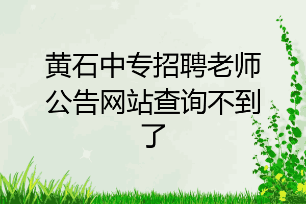 黄石中专招聘老师公告网站查询不到了