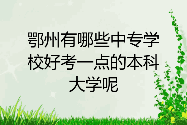 鄂州有哪些中专学校好考一点的本科大学呢