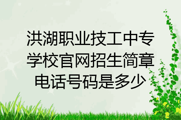 洪湖职业技工中专学校官网招生简章电话号码是多少