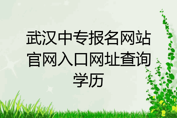 武汉中专报名网站官网入口网址查询学历