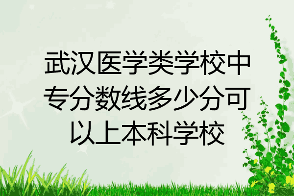 武汉医学类学校中专分数线多少分可以上本科学校