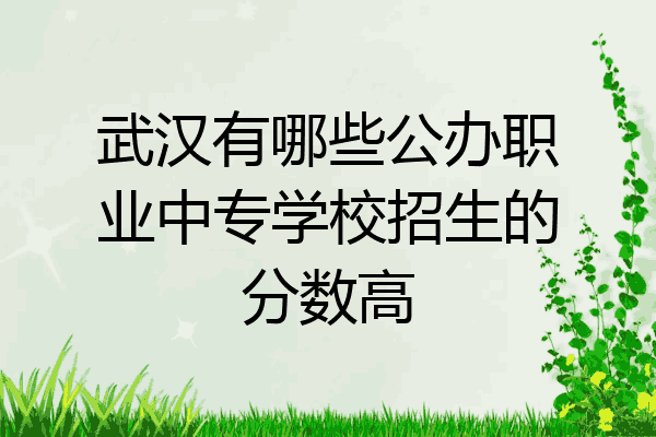 武汉有哪些公办职业中专学校招生的分数高