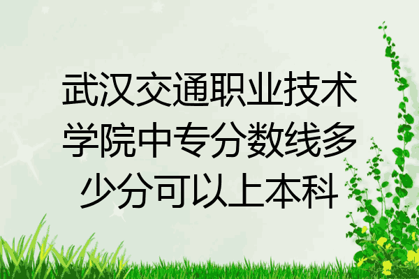 武汉交通职业技术学院中专分数线多少分可以上本科