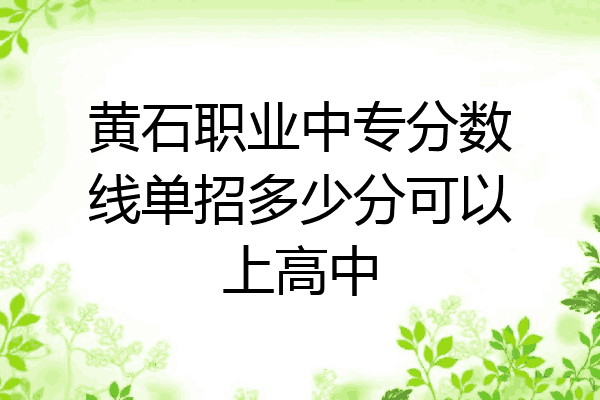黄石职业中专分数线单招多少分可以上高中