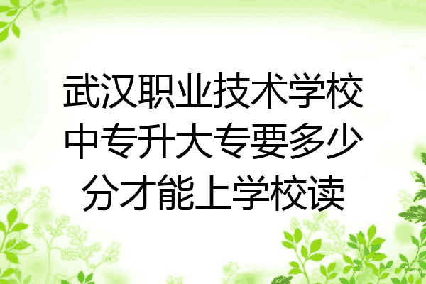 武汉职业技术学校中专升大专要多少分才能上学校读
