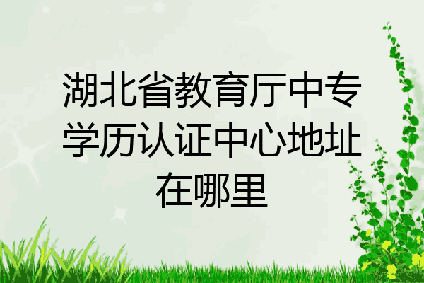 湖北省教育厅中专学历认证中心地址在哪里