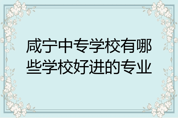 咸宁中专学校有哪些学校好进的专业