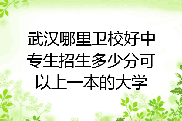 武汉哪里卫校好中专生招生多少分可以上一本的大学