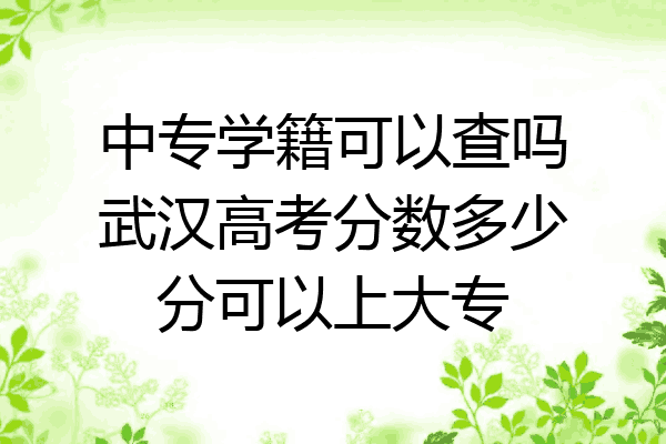 中专学籍可以查吗武汉高考分数多少分可以上大专