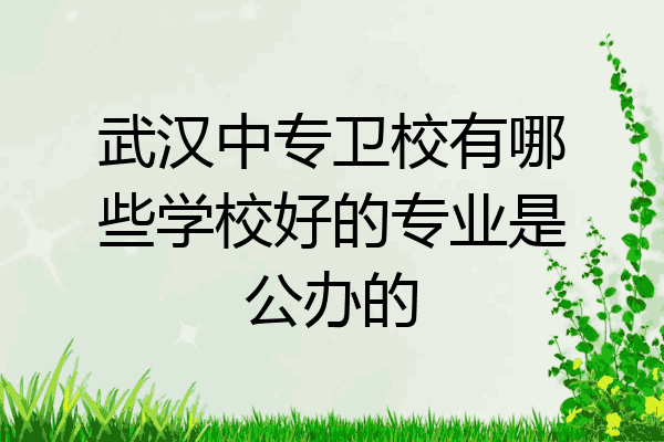 武汉中专卫校有哪些学校好的专业是公办的