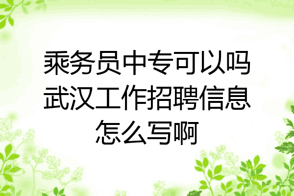 乘务员中专可以吗武汉工作招聘信息怎么写啊