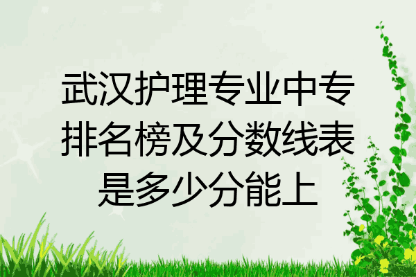 武汉护理专业中专排名榜及分数线表是多少分能上
