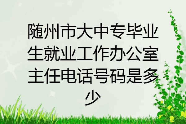 随州市大中专毕业生就业工作办公室主任电话号码是多少
