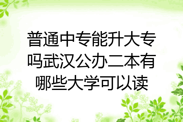 普通中专能升大专吗武汉公办二本有哪些大学可以读