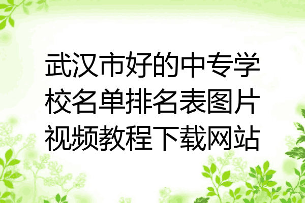 武汉市好的中专学校名单排名表图片视频教程下载网站
