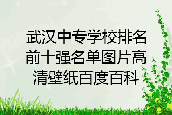 武汉中专学校排名前十强名单图片高清壁纸百度百科