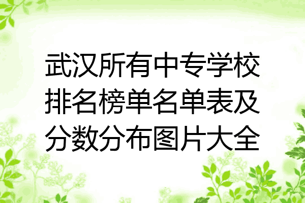 武汉所有中专学校排名榜单名单表及分数分布图片大全