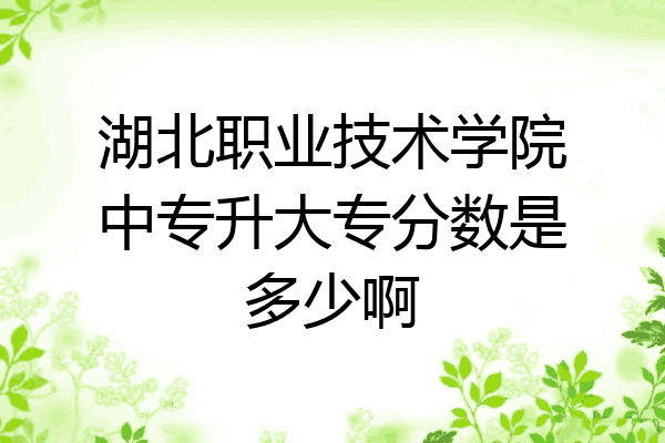 湖北职业技术学院中专升大专分数是多少啊