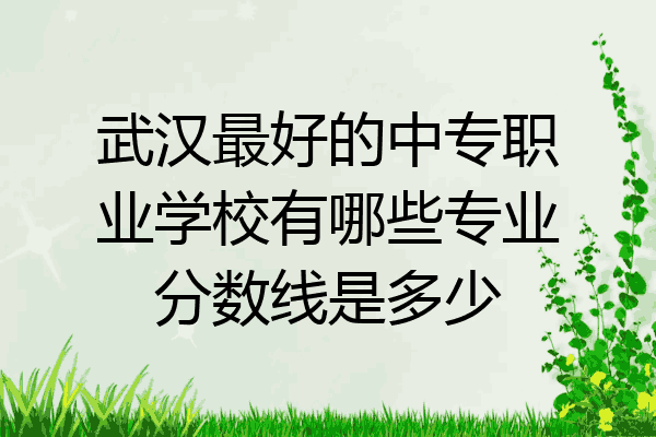 武汉最好的中专职业学校有哪些专业分数线是多少