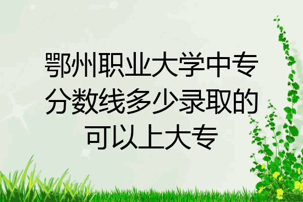鄂州职业大学中专分数线多少录取的可以上大专