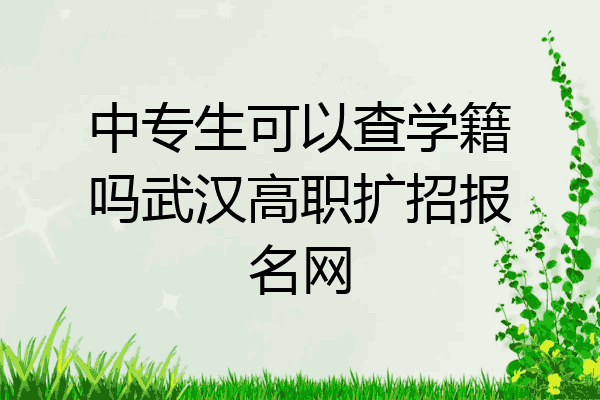 中专生可以查学籍吗武汉高职扩招报名网